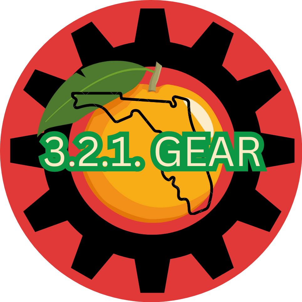 Florida orange decal